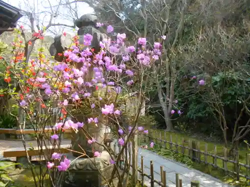 安國論寺（安国論寺）の庭園