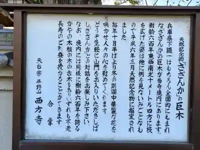 西方寺(さざんかの寺)のその他建物