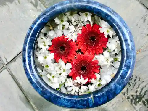 立志神社の手水舎