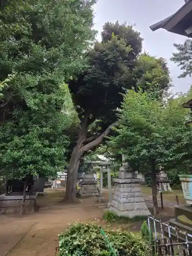 上高田氷川神社(東京都)