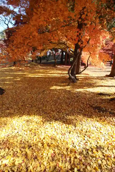 眞田神社(長野県)