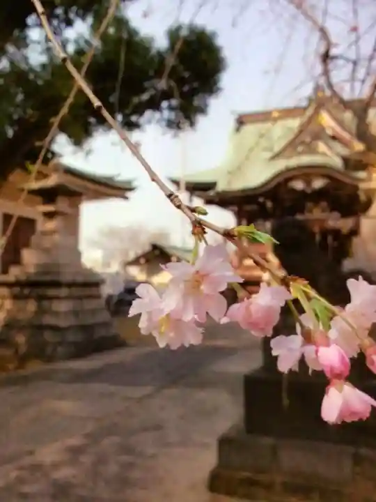 諏訪神社(東京都)