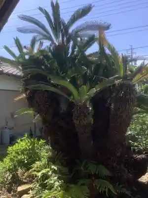 北室院の自然
