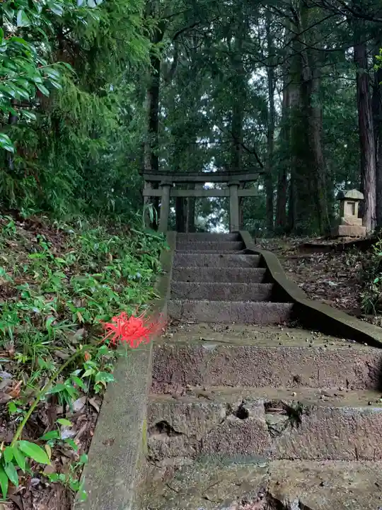 三社神社(千葉県)