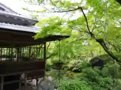 宝厳院の建物その他