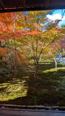 興聖寺(京都府)