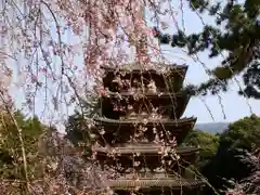 醍醐寺(京都府)