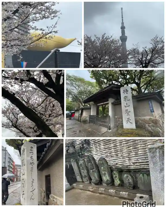 待乳山聖天(本龍院)の{uncategorized: "未分類", other: "その他", undefined: "問題あり", building: "その他建物", grave: "お墓", sacred_gate: "鳥居", guardian: "狛犬", statue: "像", buddha: "仏像", history: "歴史", nature: "自然", garden: "庭園", animal: "動物", pagoda: "塔", temizu: "手水舎", mountain_gate: "山門・神門", sanctuary: "本殿・本堂", subordinate: "末社・摂社", art: "芸術", scenery: "景色", jizo: "地蔵", ema: "絵馬", goshuin: "御朱印", omikuji: "おみくじ", items: "授与品その他", amulet: "お守り", goshuincho: "御朱印帳", eats: "食事", festival: "お祭り", votive_dance: "神楽", shichigosan: "七五三参", wedding: "結婚式", experience: "体験その他", initially: "初詣", around: "周辺", anti_infection: "感染症対策"}