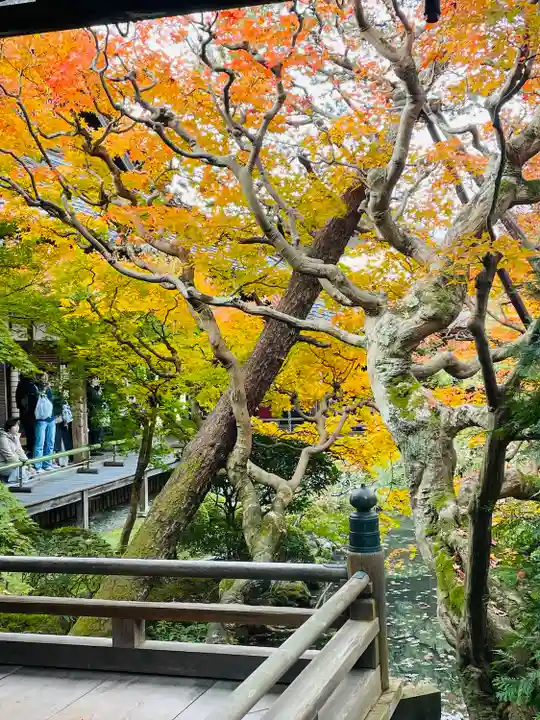 禅林寺(永観堂)(京都府)