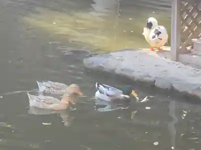 生田神社(兵庫県)
