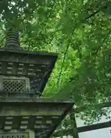 蕃松院(長野県)