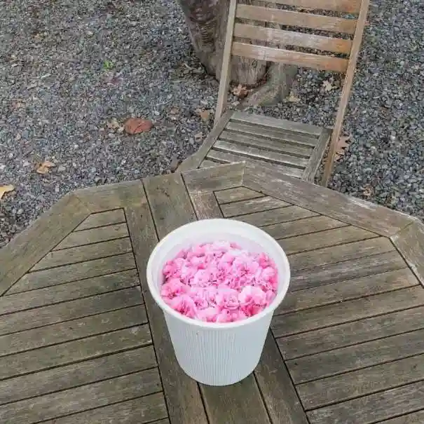 彌彦神社 (伊夜日子神社)の芸術