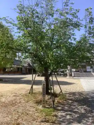本地ヶ原神社の自然