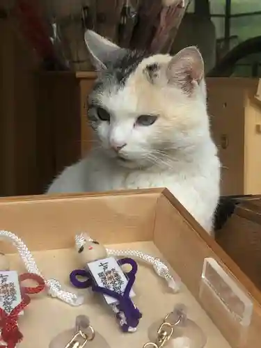 七戸神明宮の動物