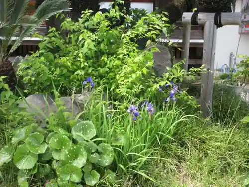 温泉寺(静岡県)