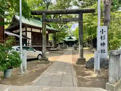小杉神社(神奈川県)