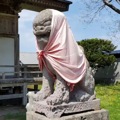 掛澗稲荷神社の狛犬