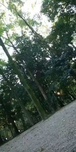 賀茂御祖神社（下鴨神社）の自然