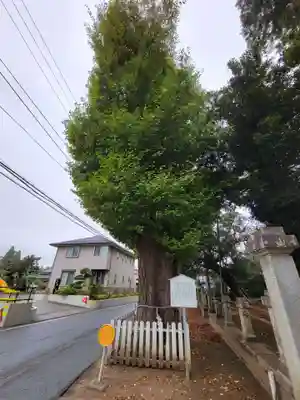 八坂神社のその他建物