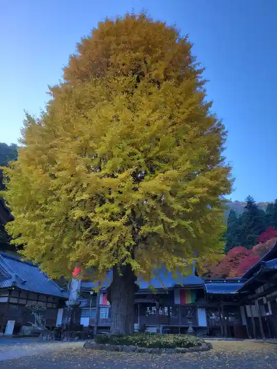 弘誓寺(兵庫県)