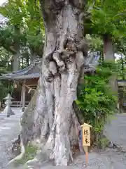 水屋神社(三重県)