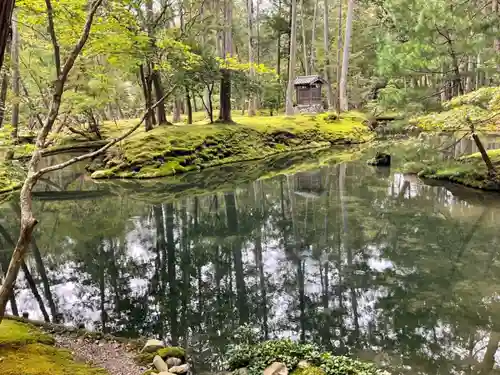 西芳寺の庭園