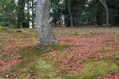 鹿苑寺（金閣寺）(京都府)