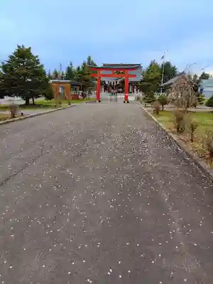 美瑛神社の鳥居