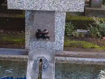 くまくま神社(導きの社 熊野町熊野神社)の手水舎