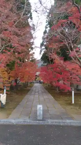 浄土宗　新光明寺の自然