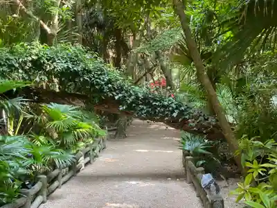 青島神社（青島神宮）(宮崎県)