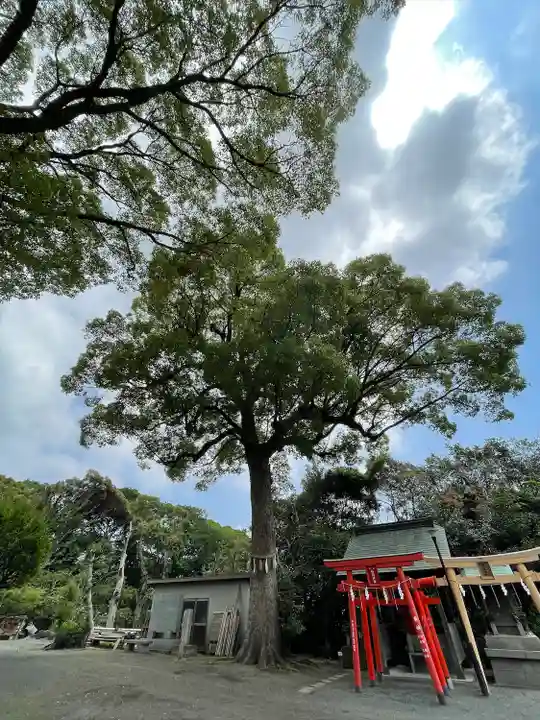 天疫神社(福岡県)