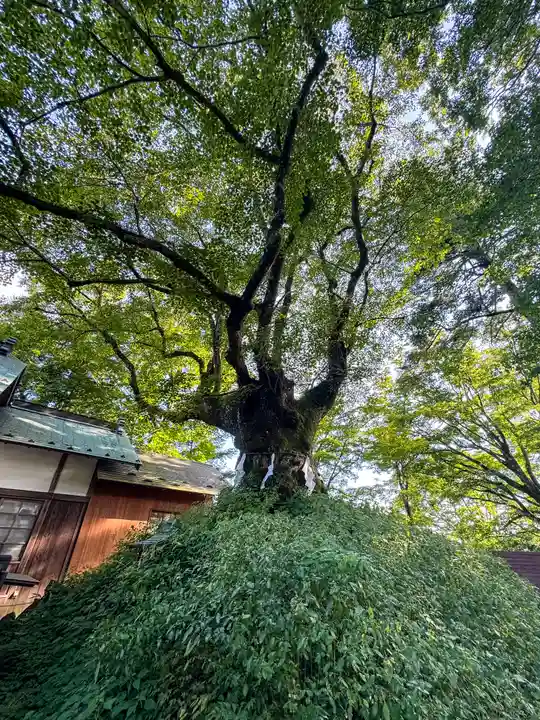 熊野皇大神社(長野県)