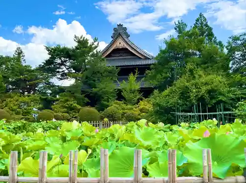信濃國分寺(長野県)