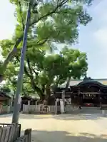石切劔箭神社の本殿・本堂