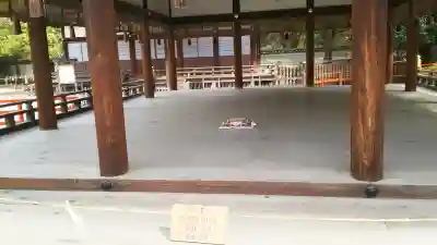 賀茂御祖神社（下鴨神社）の{uncategorized: "未分類", other: "その他", undefined: "問題あり", building: "その他建物", grave: "お墓", sacred_gate: "鳥居", guardian: "狛犬", statue: "像", buddha: "仏像", history: "歴史", nature: "自然", garden: "庭園", animal: "動物", pagoda: "塔", temizu: "手水舎", mountain_gate: "山門・神門", sanctuary: "本殿・本堂", subordinate: "末社・摂社", art: "芸術", scenery: "景色", jizo: "地蔵", ema: "絵馬", goshuin: "御朱印", omikuji: "おみくじ", items: "授与品その他", amulet: "お守り", goshuincho: "御朱印帳", eats: "食事", festival: "お祭り", votive_dance: "神楽", shichigosan: "七五三参", wedding: "結婚式", experience: "体験その他", initially: "初詣", around: "周辺", anti_infection: "感染症対策"}