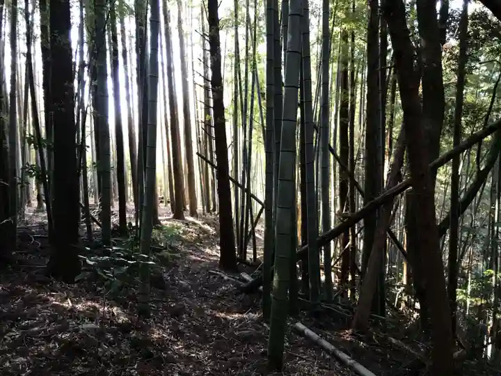 皇産靈神社の周辺