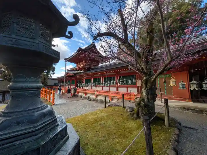 春日大社(奈良県)