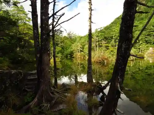 穂高神社奥宮の自然