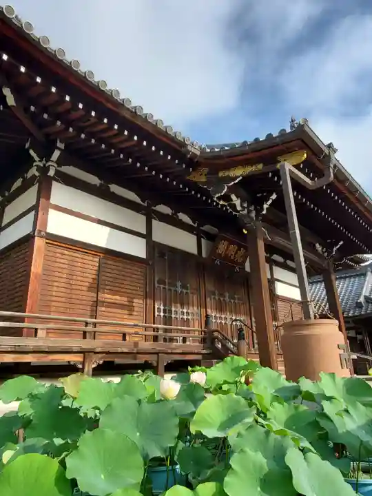 善導寺(福島県)