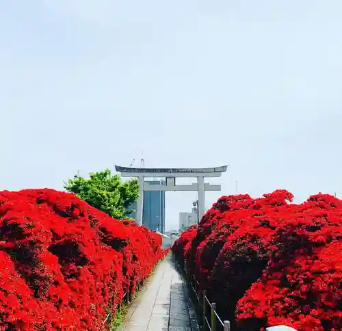 長岡天満宮(京都府)