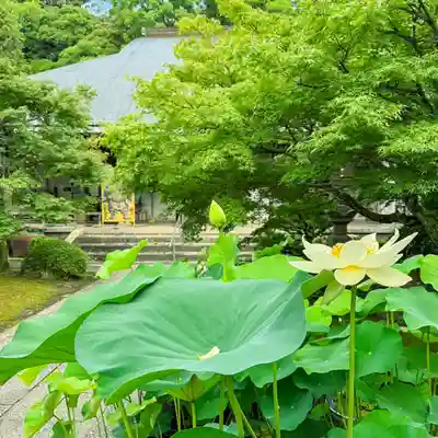 伊勢の国 四天王寺(三重県)