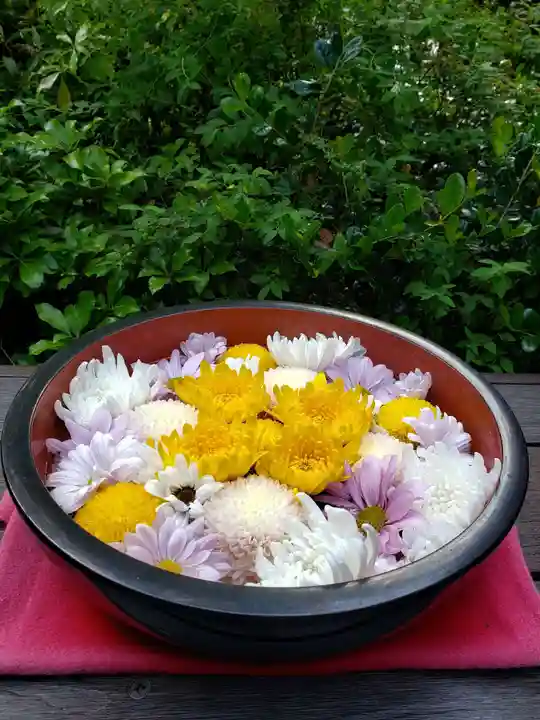 増上寺塔頭 三縁山 宝珠院(東京都)