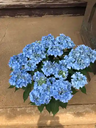 伏木香取神社の自然