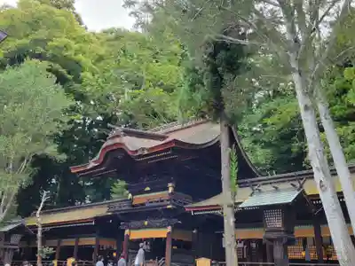 諏訪大社下社秋宮の本殿・本堂