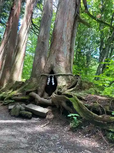 戸隠神社奥社(長野県)