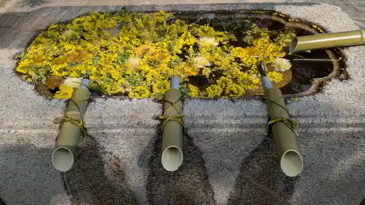 飯野八幡宮の手水舎