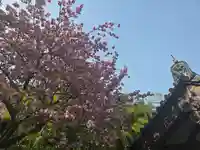 元本坊 本願院(開山坊)(奈良県)