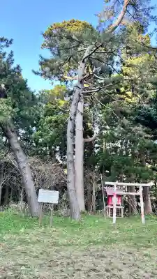 瑞石神社(北海道)