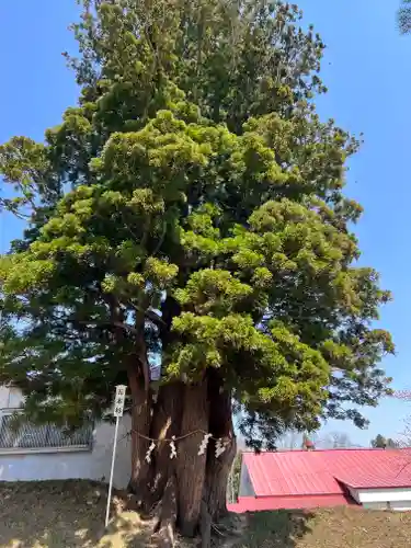 岩木山神社(青森県)
